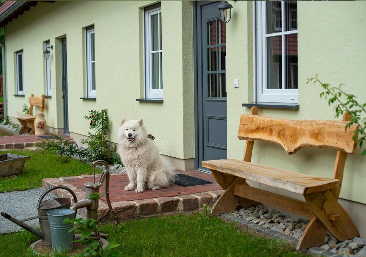 Vierseitenhof Appartements Burg  Exteriér fotografie